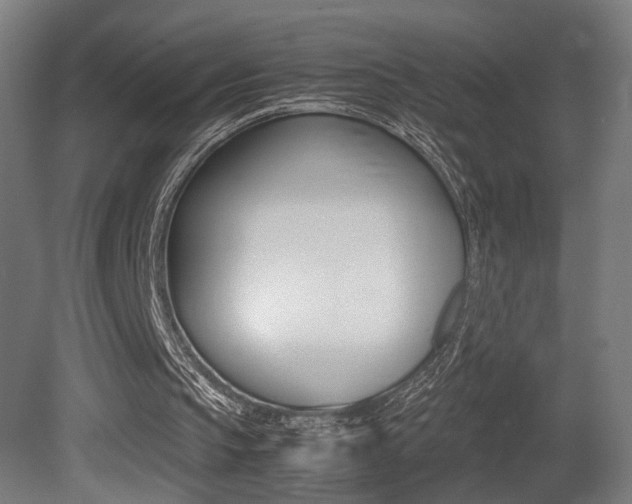 X0000081270145200701110917