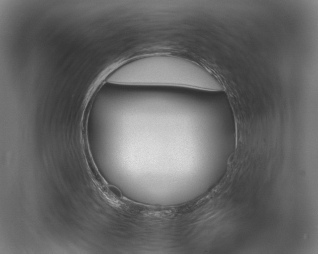 X0000081270147200701110917