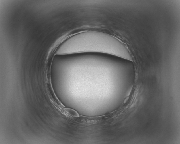 X0000081270149200701110917