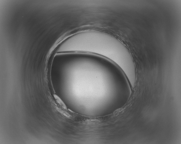 X0000081270150200701110917