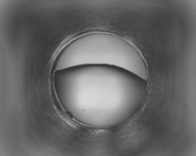 X0000081270151200701110917