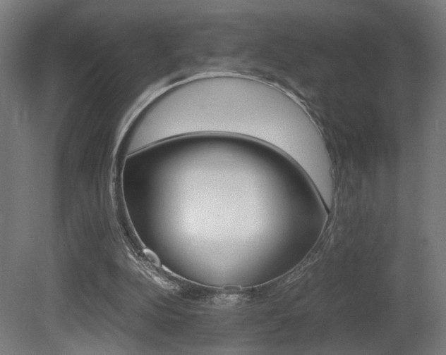 X0000081270152200701110917