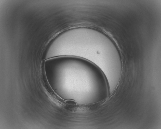 X0000081270154200701110917