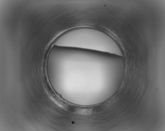 X0000081270155200701110917