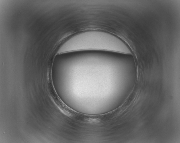 X0000081270157200701110917
