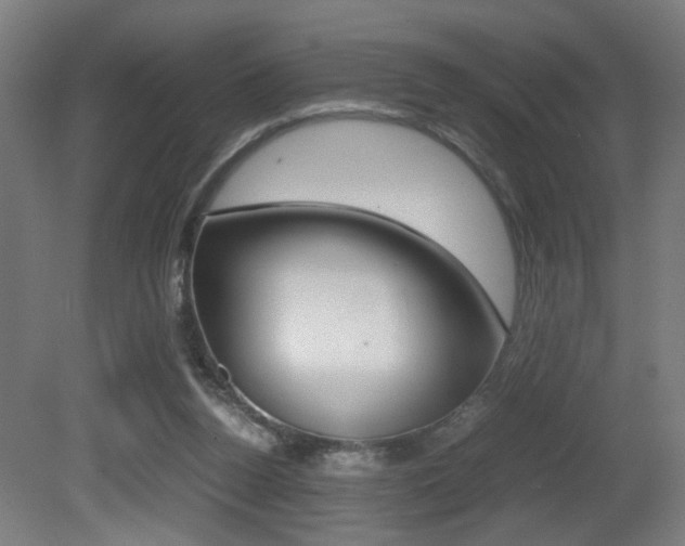 X0000081270160200701110917