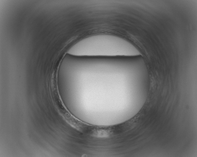 X0000081270163200701110917