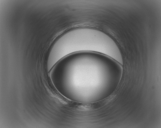 X0000081270164200701110917