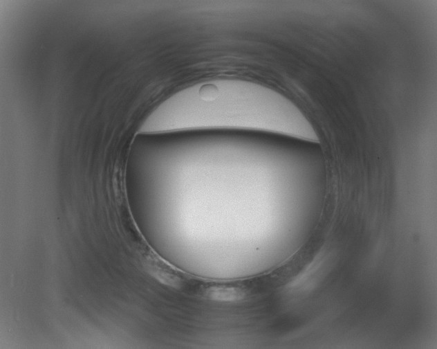 X0000081270169200701110917