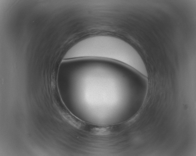X0000081270170200701110917
