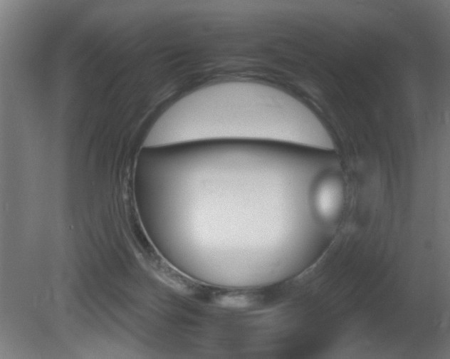 X0000081270171200701110917