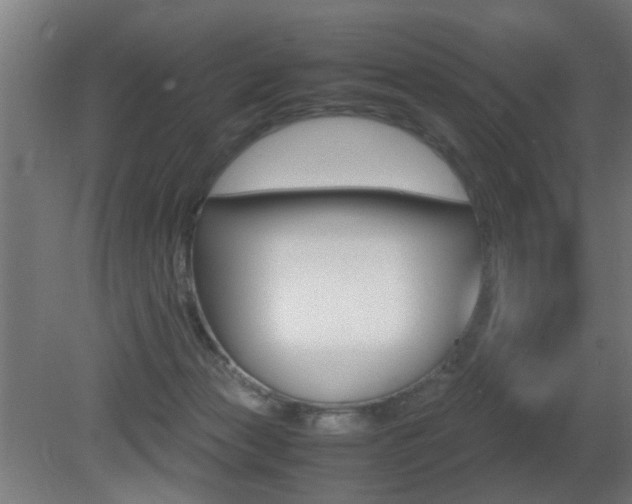 X0000081270173200701110917