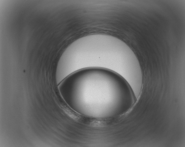 X0000081270174200701110917