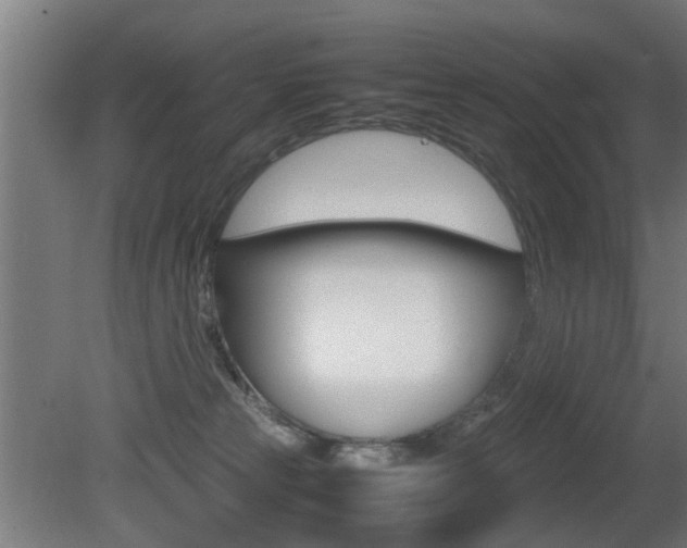 X0000081270181200701110917