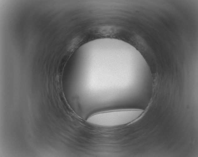 X0000081270182200701110917