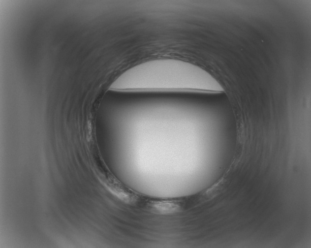 X0000081270183200701110917