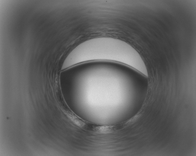 X0000081270184200701110917