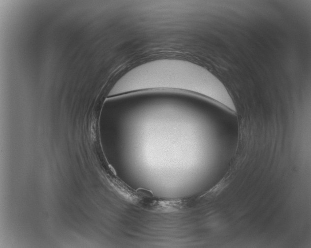 X0000081270188200701110917