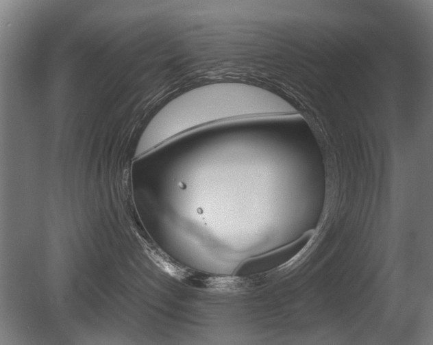X0000081270192200701110917