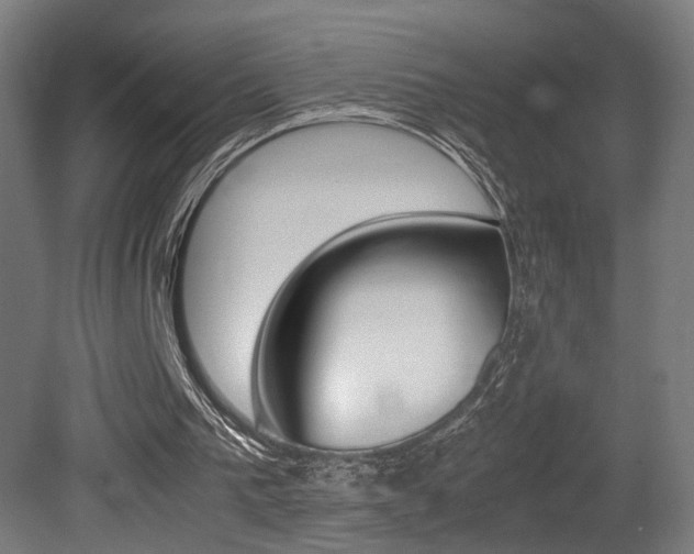 X0000081270193200701110917