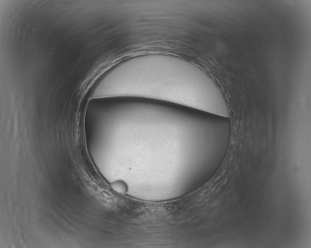 X0000081270194200701110917