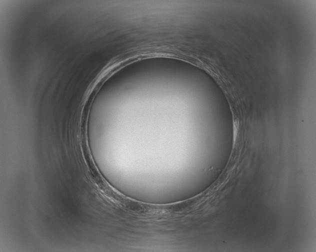 X0000081270195200701110917