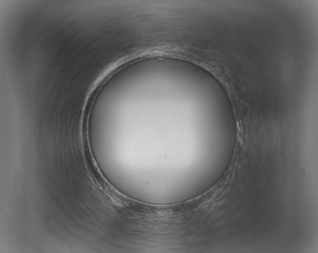 X0000081270196200701110916