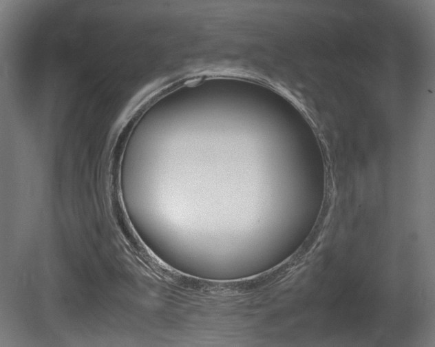 X0000081270199200701110916