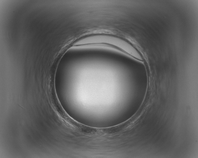X0000081270201200701110916