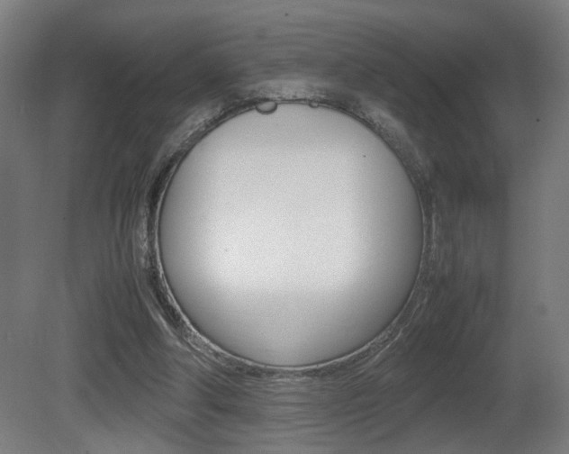 X0000081270202200701110916