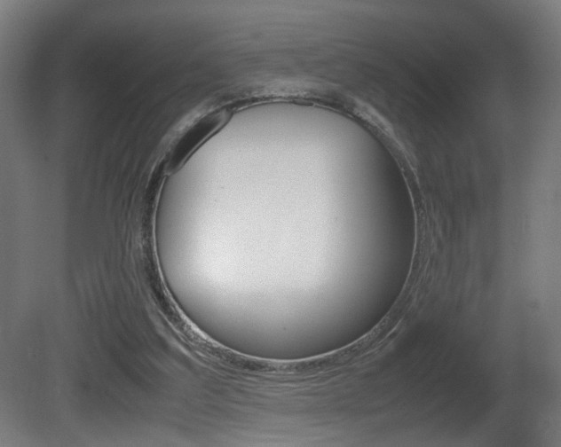 X0000081270203200701110916