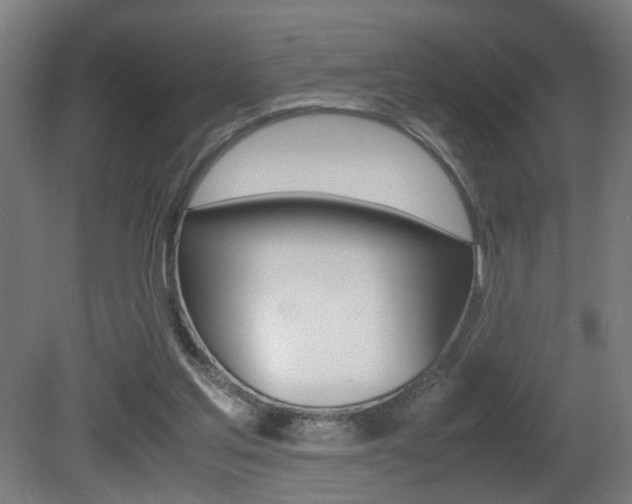 X0000081270205200701110916