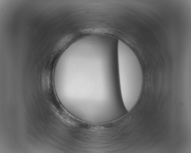 X0000081270206200701110916