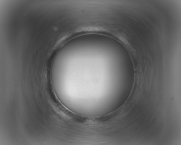 X0000081270207200701110916