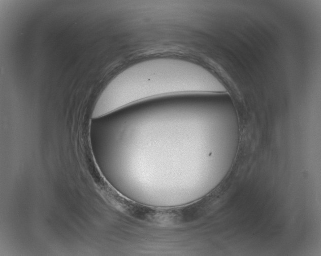 X0000081270209200701110916