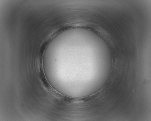 X0000081270210200701110916