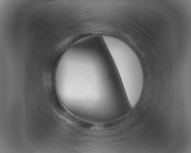 X0000081270211200701110916