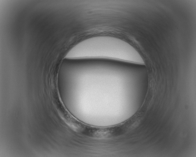X0000081270213200701110916