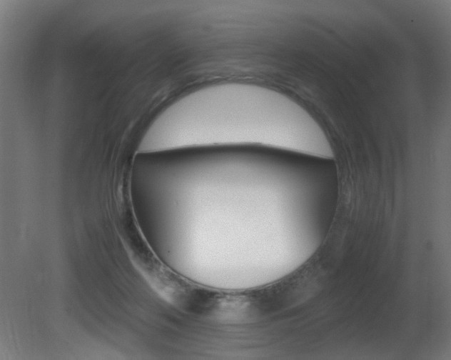 X0000081270214200701110916