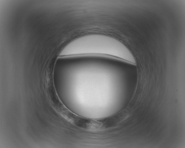 X0000081270215200701110916