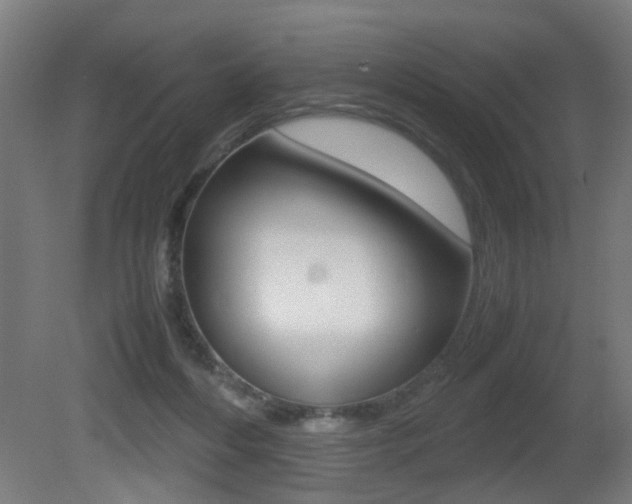 X0000081270216200701110916