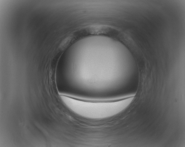 X0000081270219200701110916