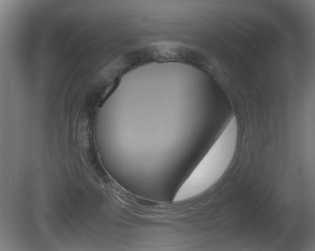 X0000081270223200701110916