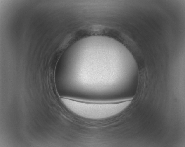 X0000081270225200701110916