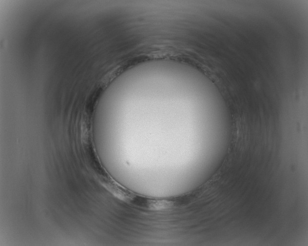 X0000081270226200701110916