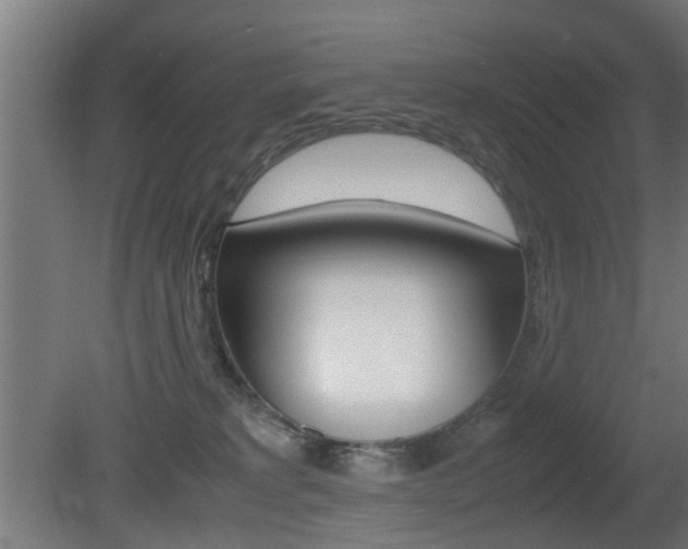 X0000081270229200701110916