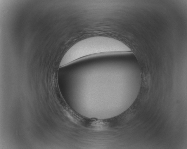 X0000081270231200701110916