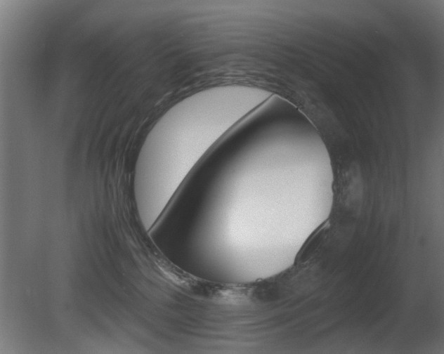 X0000081270232200701110916