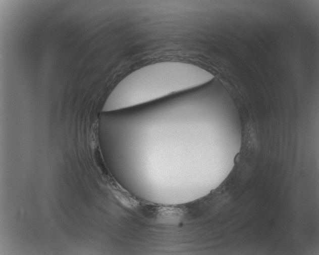 X0000081270234200701110916