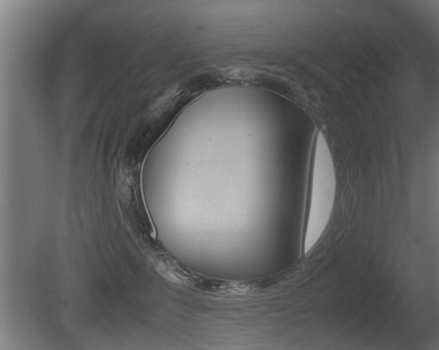 X0000081270235200701110916